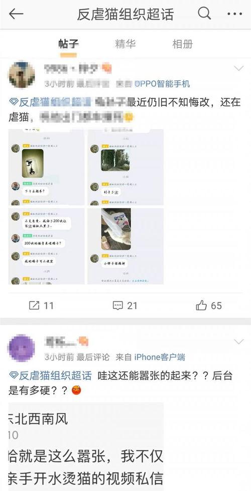 qq瓜群 热点爆料大全 58视频入口,58视频入口热点爆料大盘点